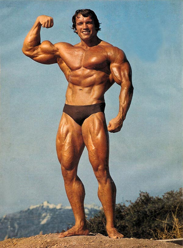 arnold schwarzenegger wallpaper bodybuilding. News Arnold Schwarzenegger